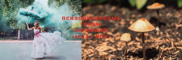 тгк Арсеньев