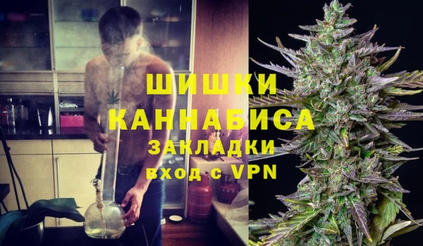 тгк Арсеньев