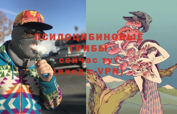 тгк Арсеньев