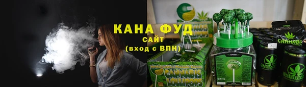 ГАЛЛЮЦИНОГЕННЫЕ ГРИБЫ Дмитриев